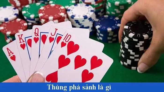 Luật Chơi Bài Xì Tố